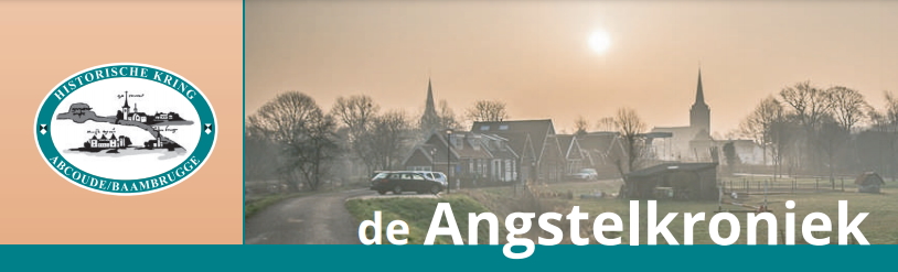 Angstelkroniek kop